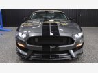 Thumbnail Photo 1 for 2020 Ford Mustang Shelby GT350